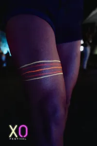 XO Festival 2025 Crowd und Lichtshow - Galerie Bild 88